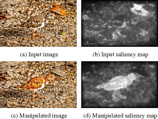 Figure 1 for Saliency Driven Image Manipulation