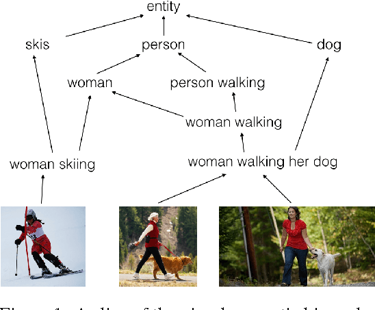 Figure 1 for Order-Embeddings of Images and Language