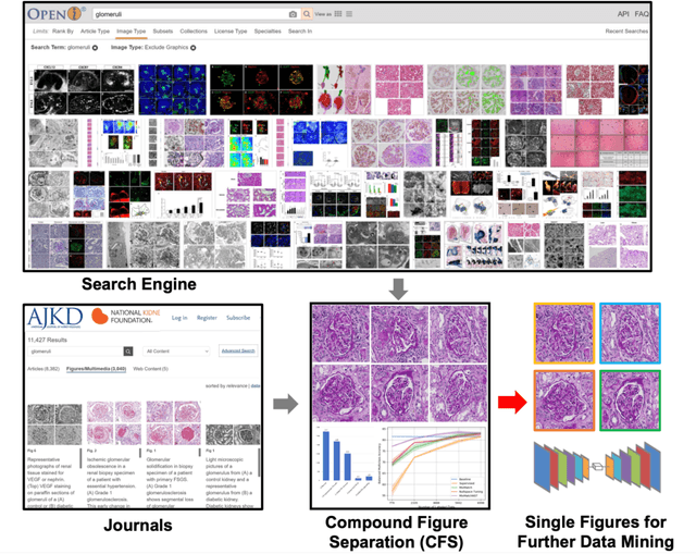 Figure 1 for Compound Figure Separation of Biomedical Images: Mining Large Datasets for Self-supervised Learning