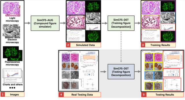 Figure 3 for Compound Figure Separation of Biomedical Images: Mining Large Datasets for Self-supervised Learning
