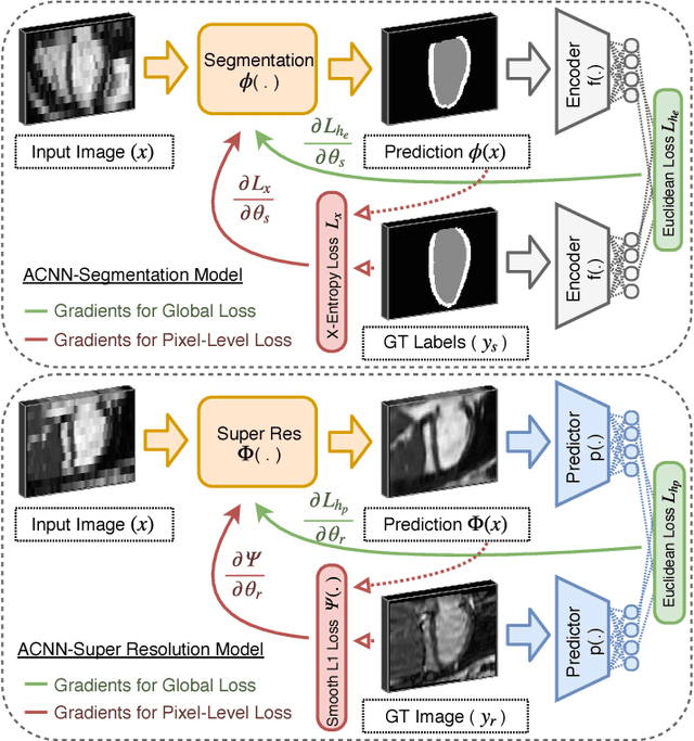 Figure 4 for Anatomically Constrained Neural Networks (ACNN): Application to Cardiac Image Enhancement and Segmentation