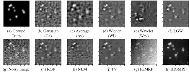 Figure 1 for Statistical Denoising for single molecule fluorescence microscopic images