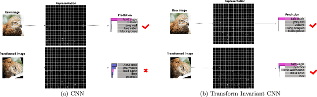 Figure 1 for Transform-Invariant Convolutional Neural Networks for Image Classification and Search