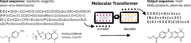 Figure 3 for SELFIES and the future of molecular string representations