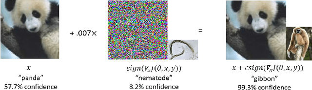 Figure 1 for Representation of White- and Black-Box Adversarial Examples in Deep Neural Networks and Humans: A Functional Magnetic Resonance Imaging Study