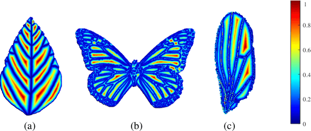 Figure 3 for Patchy Image Structure Classification Using Multi-Orientation Region Transform