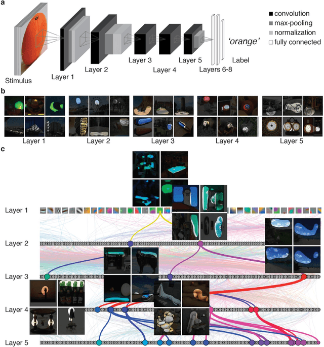 Figure 1 for Deep Neural Networks predict Hierarchical Spatio-temporal Cortical Dynamics of Human Visual Object Recognition