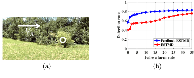 Figure 4 for A Feedback Neural Network for Small Target Motion Detection in Cluttered Backgrounds