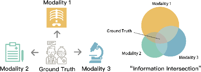 Figure 1 for TCGM: An Information-Theoretic Framework for Semi-Supervised Multi-Modality Learning