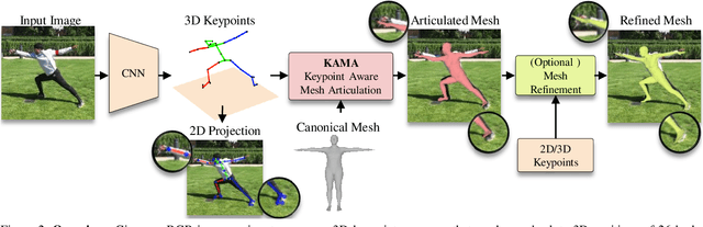Figure 3 for KAMA: 3D Keypoint Aware Body Mesh Articulation