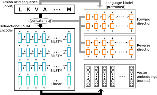 Figure 4 for Learning protein sequence embeddings using information from structure
