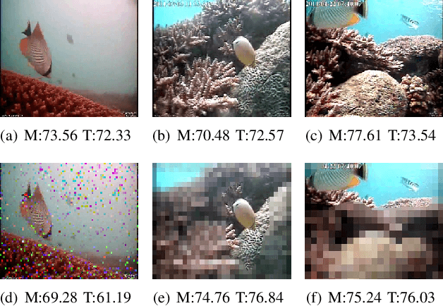 Figure 2 for Utility-Oriented Underwater Image Quality Assessment Based on Transfer Learning