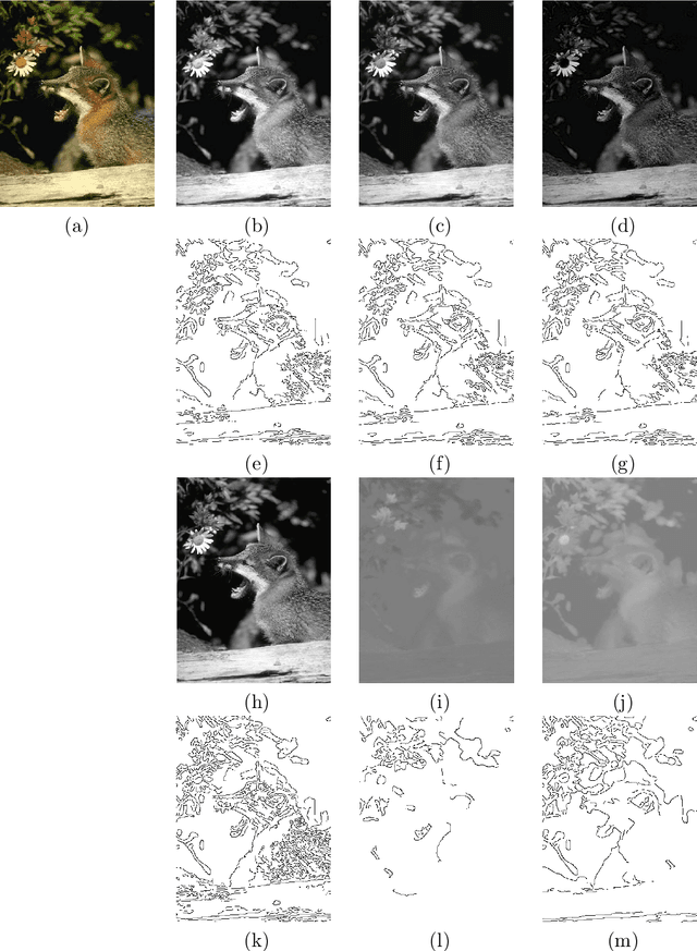 Figure 3 for Color Image Edge Detection using Multi-scale and Multi-directional Gabor filter