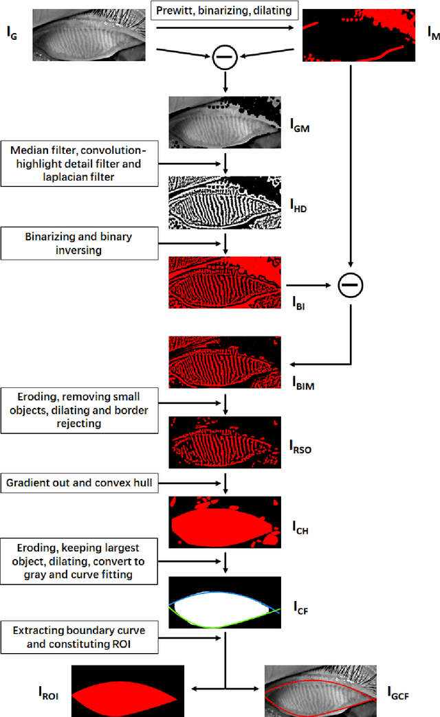 Figure 1 for An automated and multi-parametric algorithm for objective analysis of meibography images