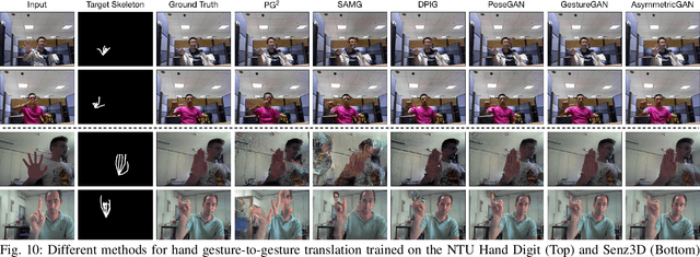 Figure 2 for Asymmetric Generative Adversarial Networks for Image-to-Image Translation