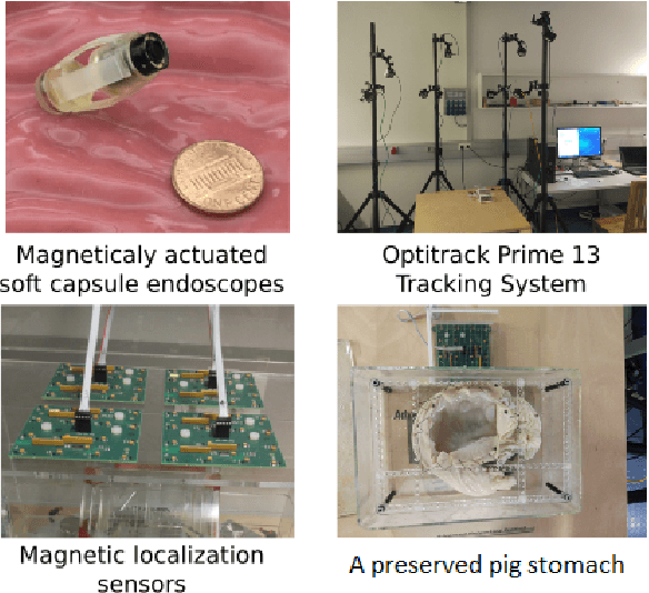 Figure 4 for EndoSensorFusion: Particle Filtering-Based Multi-sensory Data Fusion with Switching State-Space Model for Endoscopic Capsule Robots