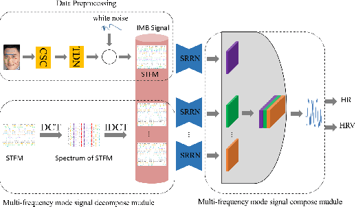 Figure 1 for LFPS-Net: a lightweight fast pulse simulation network for BVP estimation