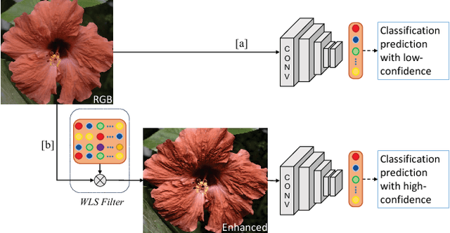 Figure 1 for Classification Driven Dynamic Image Enhancement