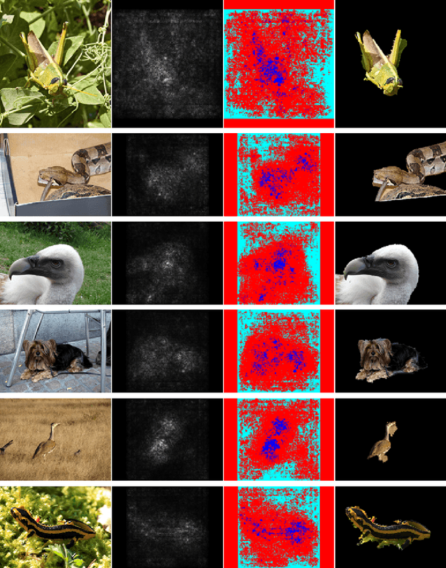 Figure 3 for Deep Inside Convolutional Networks: Visualising Image Classification Models and Saliency Maps