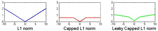 Figure 1 for Learning Sparse Visual Representations with Leaky Capped Norm Regularizers