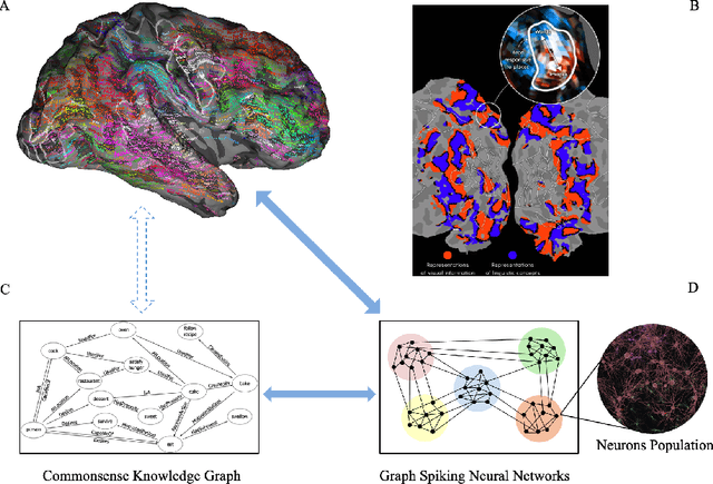 Figure 1 for Brain-inspired Graph Spiking Neural Networks for Commonsense Knowledge Representation and Reasoning