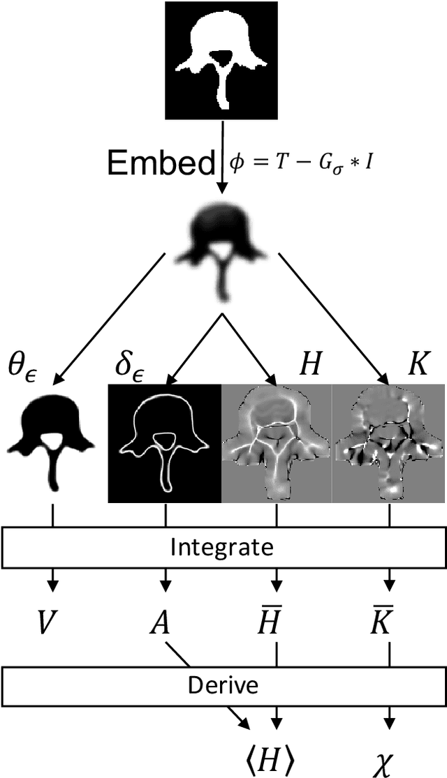Figure 1 for Local Morphometry of Closed, Implicit Surfaces
