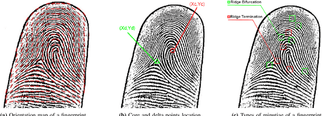 Figure 4 for A Contactless Fingerprint Recognition System