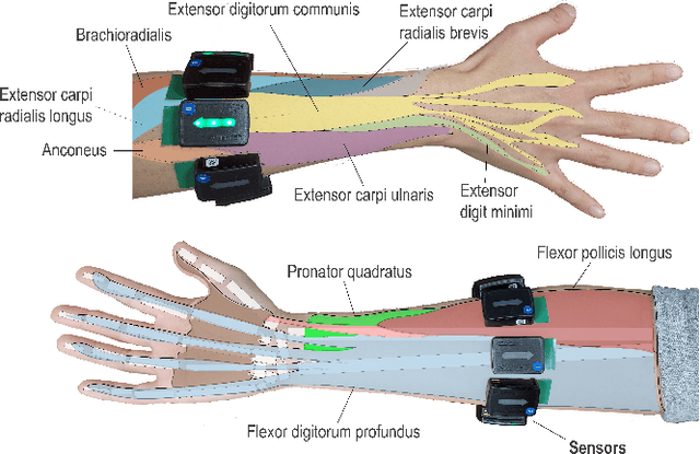 Figure 3 for Force-Aware Interface via Electromyography for Natural VR/AR Interaction