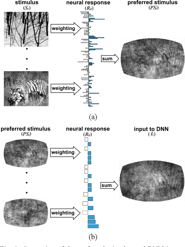 Figure 3 for Decoding Neural Responses in Mouse Visual Cortex through a Deep Neural Network