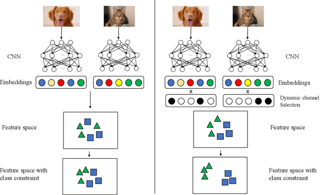Figure 1 for CC-Loss: Channel Correlation Loss For Image Classification