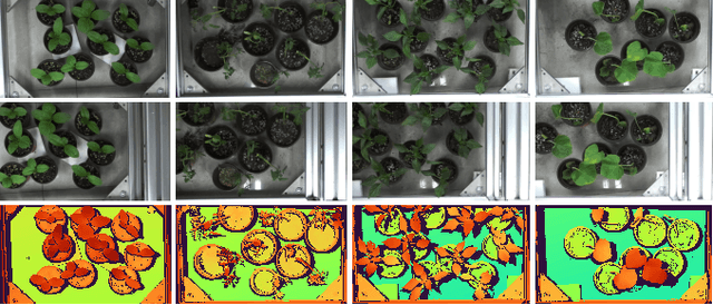 Figure 1 for PlantStereo: A Stereo Matching Benchmark for Plant Surface Dense Reconstruction