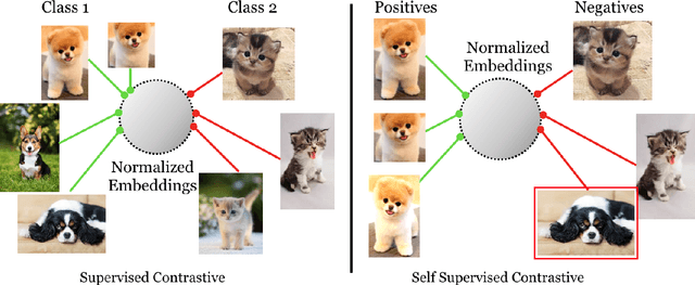 Figure 3 for Supervised Contrastive Learning