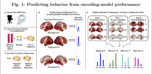 Figure 1 for Behavior measures are predicted by how information is encoded in an individual's brain