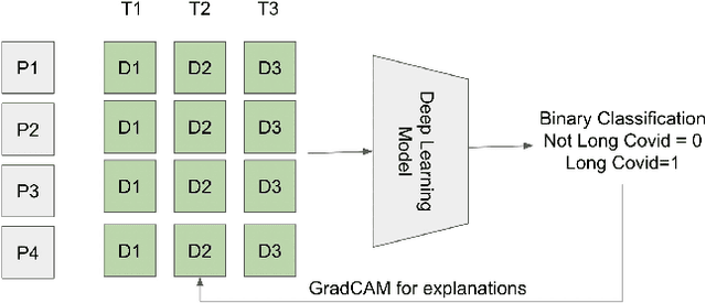 Figure 1 for Analyzing historical diagnosis code data from NIH N3C and RECOVER Programs using deep learning to determine risk factors for Long Covid