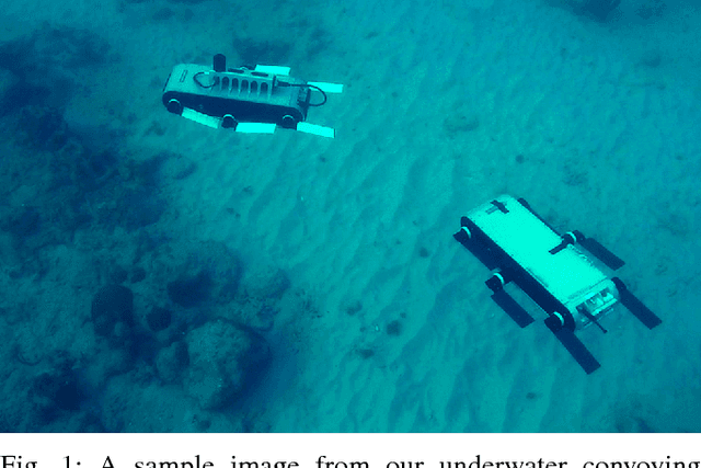 Figure 1 for Underwater Multi-Robot Convoying using Visual Tracking by Detection