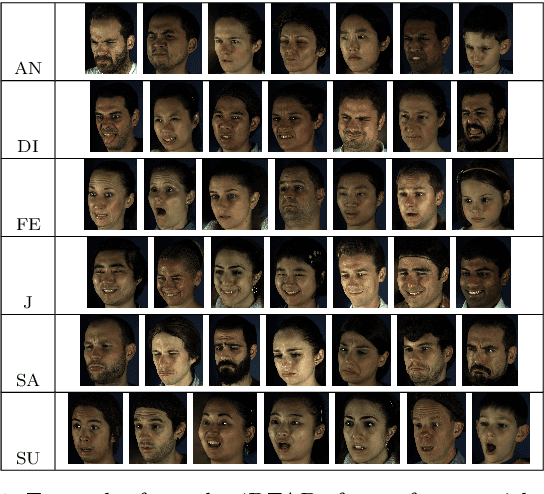 Figure 1 for Generating faces for affect analysis
