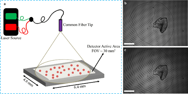 Figure 1 for Laser light-field fusion for wide-field lensfree on-chip phase contrast nanoscopy