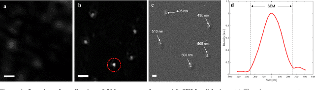 Figure 3 for Laser light-field fusion for wide-field lensfree on-chip phase contrast nanoscopy