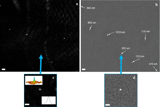 Figure 4 for Laser light-field fusion for wide-field lensfree on-chip phase contrast nanoscopy