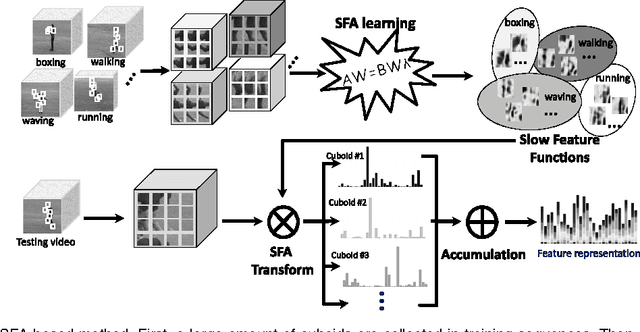 Figure 3 for Slow Feature Analysis for Human Action Recognition