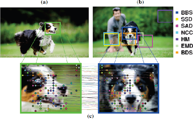 Figure 1 for Best-Buddies Similarity - Robust Template Matching using Mutual Nearest Neighbors