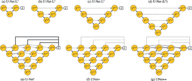 Figure 1 for UNet++: Redesigning Skip Connections to Exploit Multiscale Features in Image Segmentation