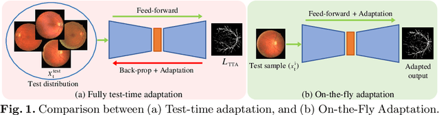 Figure 1 for On-the-Fly Test-time Adaptation for Medical Image Segmentation