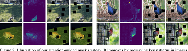 Figure 3 for MST: Masked Self-Supervised Transformer for Visual Representation