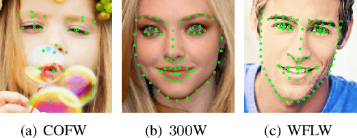 Figure 4 for MobileFAN: Transferring Deep Hidden Representation for Face Alignment