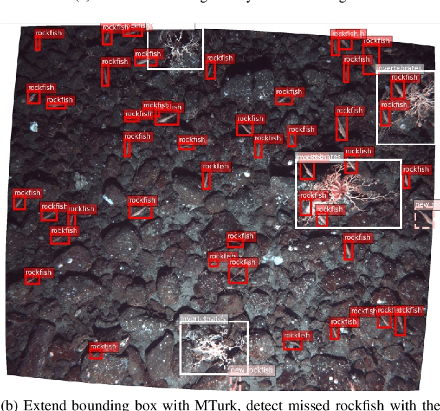 Figure 2 for An Iterative Labeling Method for Annotating Fisheries Imagery