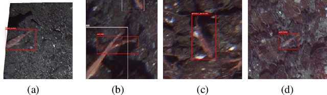 Figure 3 for An Iterative Labeling Method for Annotating Fisheries Imagery