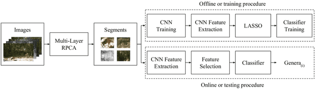 Figure 2 for Automatic Recognition of Mammal Genera on Camera-Trap Images using Multi-Layer Robust Principal Component Analysis and Mixture Neural Networks