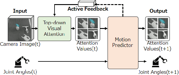 Figure 1 for Deep Active Visual Attention for Real-time Robot Motion Generation: Emergence of Tool-body Assimilation and Adaptive Tool-use