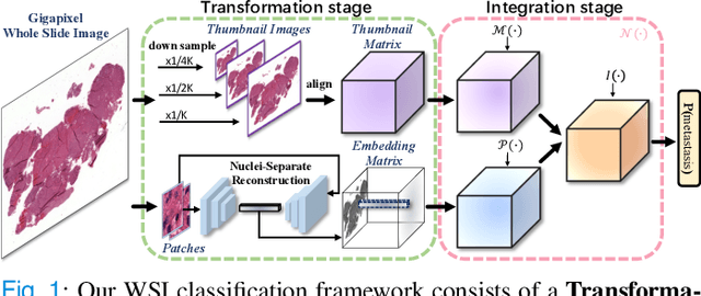 Figure 1 for DSNet: A Dual-Stream Framework for Weakly-Supervised Gigapixel Pathology Image Analysis